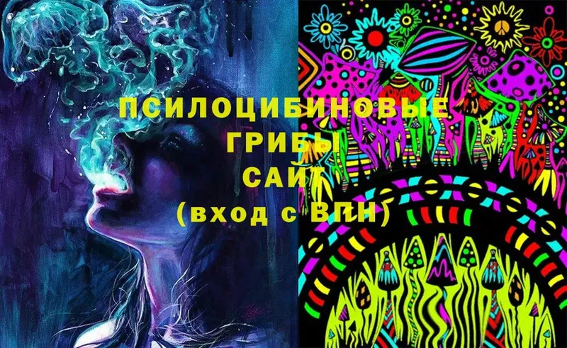 Псилоцибиновые грибы Magic Shrooms  магазин    Хотьково 